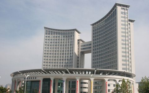 西藏中艺金像科技股份有限公司